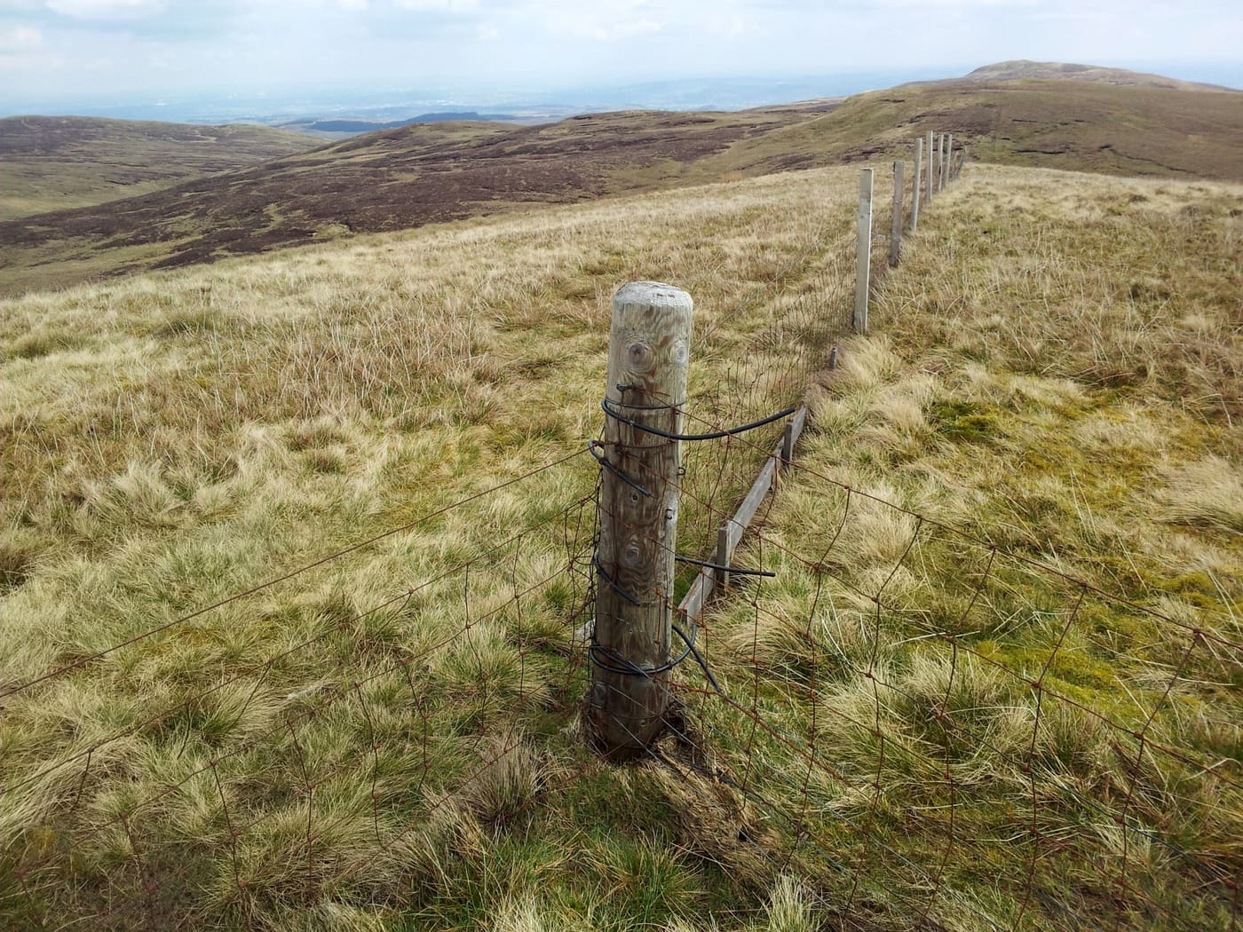 A boundary fence line and corner post on farmland