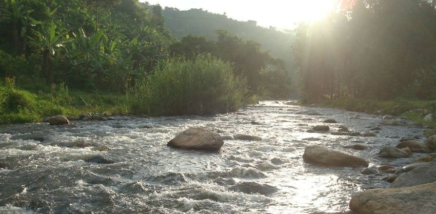 Aerial survey in the Rwenzori Mountains, Uganda